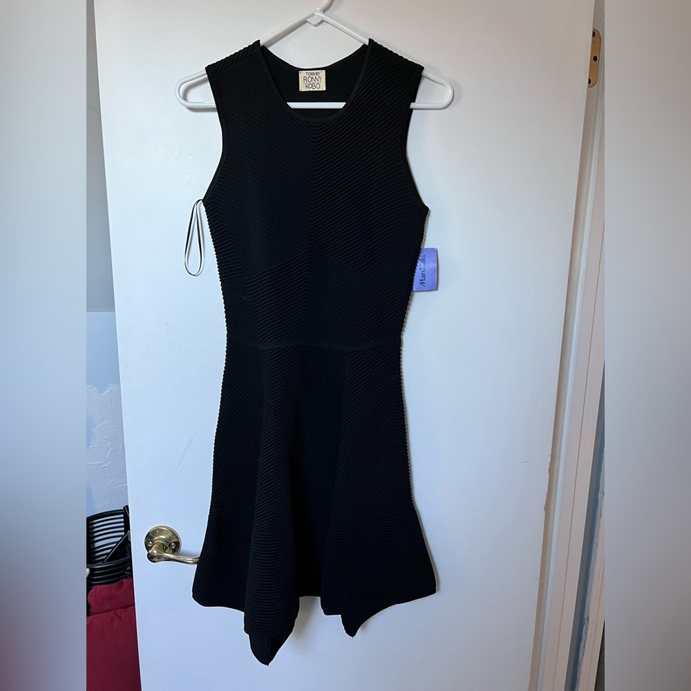 Torn by Ronny Kobo Dress